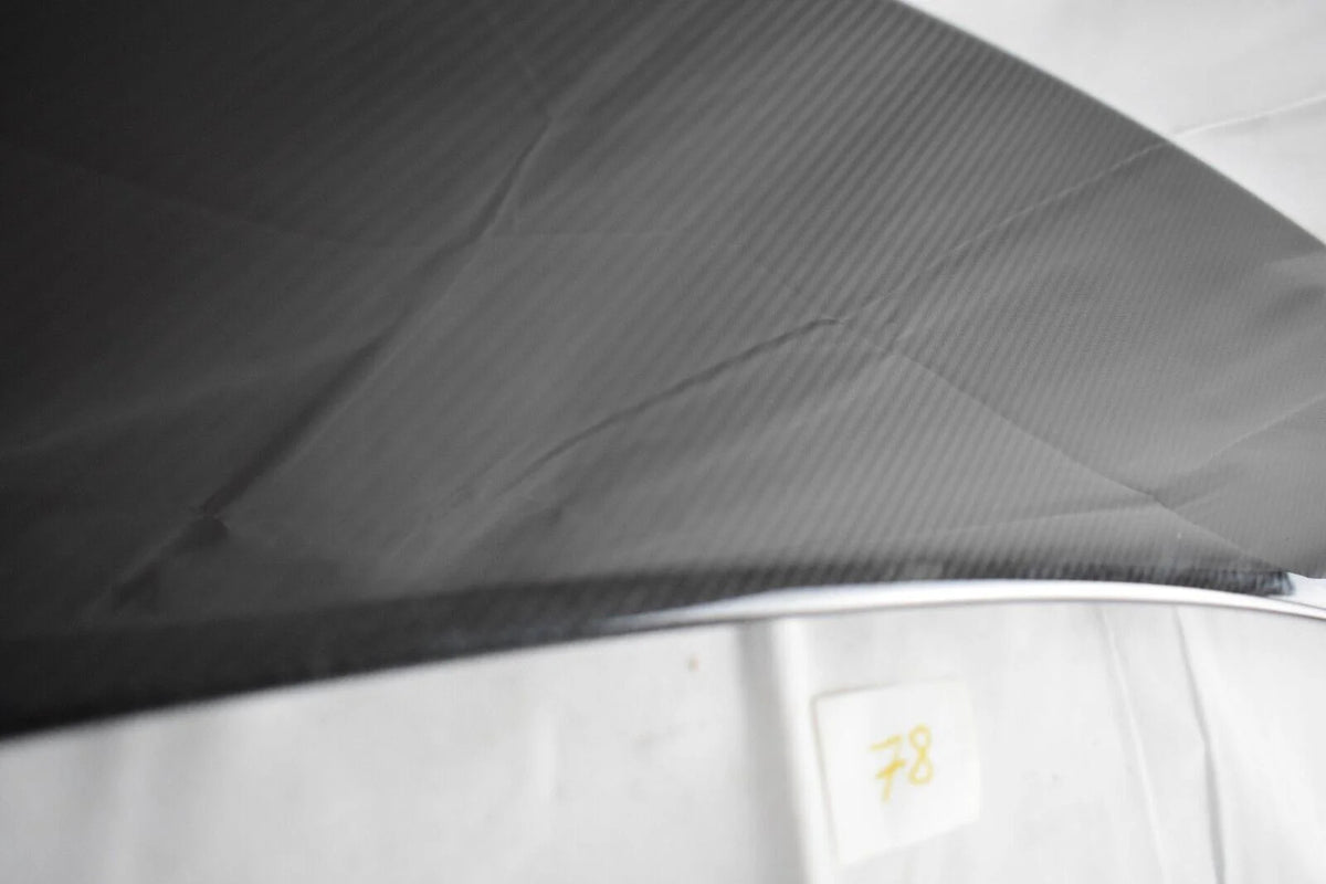 Original Mercedes AMG GT 290 X290 rear Spoiler Heck Heckspoiler Platte Carbon